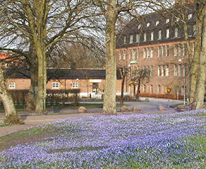 Blått i UB-parken