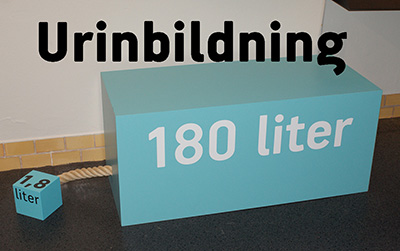 Primärurin