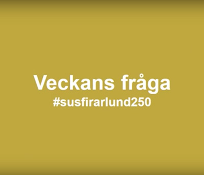 Valvet vid Gamla biskopshuset i Lund