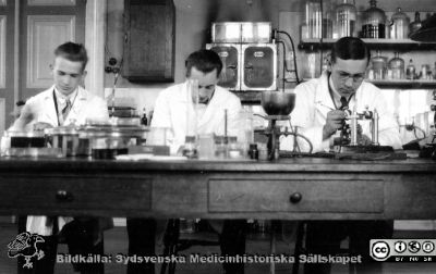 Fotoalbum tillägnat Professor Torsten Hellman från histologkursen 1929
Fotoalbum tillägnat Professor Torsten Hellman med tacksamhet och vördnad från histologkursen 1929. Bildtext "Dage Jakobsson. Ask. Torolf Persson". 
Rimligen kursdeltagare vid  i kurslaboratoriet.
- Dage Jakobson (1909 - 2003) hade olika förordnanden på medicinska kliniker i Syd- och Mellansverige. Han blev provinsialläkare i Lycksele och sjukstuguläkare där från 1955. 
- Olof Ask (1909-1988) var amanuens i histologi. Han disputerade i Uppsala 1941 på en avhandling spina bifida. Från 1956 var han överläkare med ansvar för den medicinska vården på St Lars sjukhus i Lund.
- Torolf Persson var född 1907-09-18 i Östmark i Värmland och dog 1991-03-10 i Torsby (Värmland). Intet mera är känt om honoom.
Nyckelord: Anatomiska Institutionen;Histologiska avdelningen;Mikroskopering;Medicinska fakulteten i Lund;Locus Medicus Lundensis;Universitet