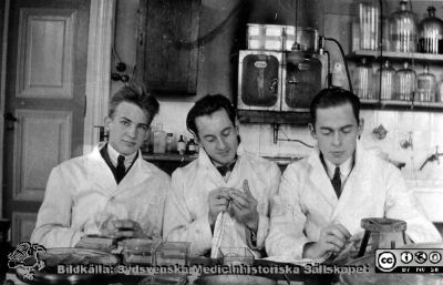 Fotoalbum tillägnat Professor Torsten Hellman från histologkursen 1929. 
Fotoalbum tillägnat Professor Torsten Hellman med tacksamhet och vördnad från histologkursen 1929. Bildtext "Dage Jakobsson. Sigurd Wendt. Torolf Persson". 
Studenter i histologens kurslaboratorium. De tillvekar tydligen histologiska preparat.
- Dage Jakobson (1909 - 2003) hade olika förordnanden på medicinska kliniker i Syd- och Mellansverige. Han blev provinsialläkare i Lycksele och sjukstuguläkare där från 1955. 
- Sigurd Wendt (1909 - 2002) hade internmedicinska tjänster i Uppsala och Norrland och var från 1946 praktiserande läkare i Göteborg.
- Torolf Persson saknas i läkarmatriklarna 1959 och 1970. Han var enligt folkbokföringen ("Dödboken 9") född 1907-09-18 i Östmark i Värmland och dog 1991-03-10 i Torsby (Värmland).
Nyckelord: Histologiska avdelningen;Anatomiska Institutionen;Medicinska fakulteten i Lund;Locus Medicus Lundensis;Universitet;Kurslaboration
