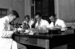 Filnamn=imgLA2250318ff171Cpg.jpg
Filstorlek=90KiB
Dimensioner=1024x673
Uppladdade datum=28 Sep 2025 imgLA2250318ff171Cpg.jpg