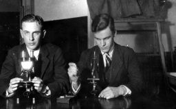 Filnamn=imgLA2250318ff178Cpg.jpg
Filstorlek=94KiB
Dimensioner=1024x639
Uppladdade datum=28 Sep 2025 imgLA2250318ff178Cpg.jpg