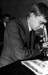 Filnamn=imgLA2250318ff183Cpg.jpg
Filstorlek=78KiB
Dimensioner=649x1024
Uppladdade datum=28 Sep 2025 imgLA2250318ff183Cpg.jpg