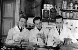 Filnamn=imgLA2250318ff193Cpg.jpg
Filstorlek=115KiB
Dimensioner=1024x659
Uppladdade datum=28 Sep 2025 imgLA2250318ff193Cpg.jpg