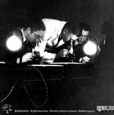1928 års kurs i histologi i Lund
Fotoalbum märkt Histologikursen anno 1928. 
Detta album innehåller bilder från dåvarande histologiska avdelningen på anatomiska institutionen i Lund på Biskopsgatan 7. Liksom de övriga i serien skapades det av kursdeltagarna och tillägnades kursledaren, professor Torsten Hellman, som uppskattning av hans lärargärning. Bilden visar en av kursamanunerserna, "Eonerna", amanuens Hjalmar Sjövall stående och nedböjd, till vänster studenten NN. Landoff och till höger NN Wærnbaum enligt bildtext. Han står vid ett kursmikroskop i avdelningens mikroskoperingssal. 
Bildkälla Stiftelsen Locus Medicus Lundensis 250317.
Nyckelord: Locus Medicus Lundensis;Medicinska fakulteten i Lund;Histologiska avdelningen;Sydsvenska Medicinhistoriska Sällskapet;SMHS;Anatomiska Institutionen;Studenter;Lärare