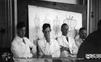 Bild i fotoalbum  tillägnat professor Torsten Hellman från deltagarna i histologikursen ht 1930. 
Fotoalbum  "TILL PROFESSOR TORSTEN hELLMAN MED TACK FRÅN DELTAGARNA I HISTOLOGIKURSEN HÖSTTERMINEN 1930".  Bildtext "Men - med tiden blir i alla fall även den yngste äldre". Samma kursamanuenser som i bildfil imgLA2250318ff267. Foto i stora föreläsningssalen. Från vänster troligen Moberg, okänd med handen för ansiktet, Göte Österling, okänd "ungdom", även han med handen mot ansiktet.
Bildkälla stifteleen Locus Medicus Lundensis och Sydsvenska Medicinhistoriska Sällskapet / SMHS. Fotograf okänd.
Nyckelord: Histologiska avdelningen;Anatomiska Institutionen;Entrétrappa;Medicinska fakulteten i Lund;Sydsvenska Medicinhistoriska Sällskapet;Locus Medicus Lundensis;Lärare