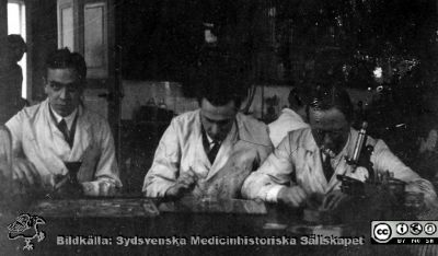 Fotoalbum tillägnat professor Torsten Hellman från histologikursen HT 1930
Fotoalbum  "TILL PROFESSOR TORSTEN HELLMAN MED TACK FRÅN DELTAGARNA I HISTOLOGIKURSEN HÖSTTERMINEN 1930".  Bildtext "Arbete". Jämför med den snarlika bilden i fil imgLA2250318ff297. Foto troligen i mikroskoperingssalen.
Bildkälla stiftelsen Locus Medicus Lundensis och Sydsvenska Medicinhistoriska Sällskapet / SMHS. Fotograf okänd.
Nyckelord: Histologiska avdelningen;Anatomiska Institutionen;Medicinska fakulteten i Lund;Sydsvenska Medicinhistoriska Sällskapet;Locus Medicus Lundensis;Elever