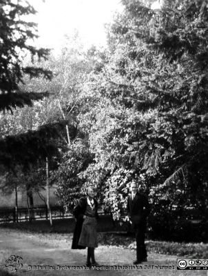 Fotoalbum  från histologkursen 1931.  Bildtext "Folke och Maja". Foto på grusgången i parken vid anatomiska institutionen i Lund. I bakgrunden Biskopsgatan. Staketet ser likadant ut 2025. 
Bildkälla Stiftelsen Locus Medicus Lundensis 250317. Sydsvenska Medicinhistoriska Sällskapet / SMHS. Fotograf okänd.
Nyckelord: Medicine studerande;Histologiska avdelningen;Anatomiska Institutionen;Medicinska fakulteten i Lund;Locus Medicus Lundensis;Universitetet i Lund