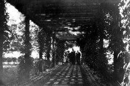 imgLA2250318ff779apCpg.jpg