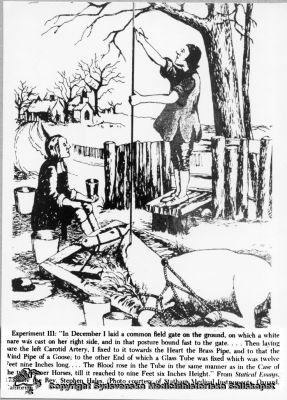 Första försöket att mäta blodtryck, 1733
Fotografisk reproduktion monterad på pappskiva. Påskrift: "Första försöket att mäta blodtrycket utfördes 1733 av en engelsk präst, Stephen Hales. 
Mätningen - på en häst - gjorde han genom att låta blodet rusa upp i ett glasrör..." From Statical Essays, 1733, by the Rev. Stephen Hales. (Photo courtesy of Statham Medical Instruments, Oxnard, California).
Nyckelord: Blodtrycksmätning;Blodtryck;Mätning;Häst;Diagnostik;Stephen;Hales;Reprofoto;Monterat;Kapsel 08