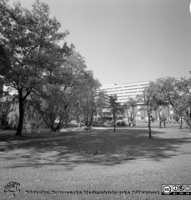 Lasarettet i Lund 1971. Parken söder om ögonkliniken
Sjukhusfotograferna i Lund. Pärm Diverse tagningar. 1971, 1972, 1973. Exteriörer, lasarettsområdet juli 1971. Foto från parken söder om ögonkliniken, som skymtar mellan träden i bakgrunden. Det nya centralblocket där bakom. Från negativ.
Nyckelord: Lasarett;Lund;Universitet;Universitetssjukhus;USiL;Ögon;Klinik;Oftalmologi;Centralblocket;Park
