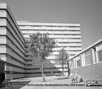 Lasarettet i Lund 1971. Fasad mot söder, centralblockets östra flygel.
Sjukhusfotograferna i Lund. Pärm Diverse tagningar. 1971, 1972, 1973. Exteriörer, lasarettsområdet juli 1971. Centralblockets östra halva. Fasad mot söder. Ögonkliniken till höger i bild och ett hörn på blivande kvinnokliniken till vänster. Från negativ.
Nyckelord: Lasarettet;Lund;Universitet;Universitetssjukhus;USiL;Centralblocket;Ögon;Oftalmologi;Klinik
