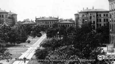 Västra sjukhuset (Asylen) på St Lars i Lund före 1918, med smalspårig järnväg
St Lars, Asylen. Spårvägen anlades 1890 och lades ned på 1930-talet. Bildkälla: Janis Priedits.
Nyckelord: St Lars;Lund;Järnväg;Exteriört