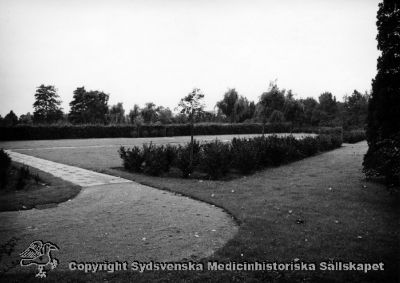 Gravplats för Vipeholms sjukhus på norra kyrkogården i Lund. 
Många av de intagna saknade anhöriga som kunde ta hand om deras kvarlevor, och då begravdes de här. Foto Omonterat
Nyckelord: Vipeholm;Gravplats;Kyrkogård;Lund;Foto;Omonterat;Kapsel 14