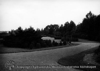 Gravplats för Vipeholms sjukhus på norra kyrkogården i Lund. 
Många av de intagna saknade anhöriga som kunde ta hand om deras kvarlevor, och då begravdes de här. Foto Omonterat
Nyckelord: Vipeholm;Gravplats;Kyrkogård;Lund;Foto;Kapsel 14