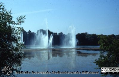 Vy från Pildammarna i Malmö c:a 1973
Springvatten i Pildammarna i Malmö 1973.
Nyckelord: Fontän;Malm;Pildammsparken;Pildammarna