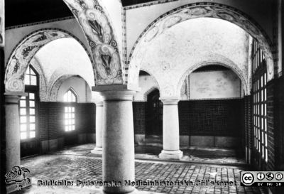 Portvalvet i norra entrén till södra lasarettsområdet i Lund, i närheten av Gamla Biskopshuset
Denna del byggdes nära1920 och eftersom portgången ser ut ha varit använd en tid kan man tro att bilden är tagen tidigast i mitten på 1900-talet.
Nyckelord: USiL;Lund;Universitet;Sjukhus;Entré;Portvalv;Valvmålning
