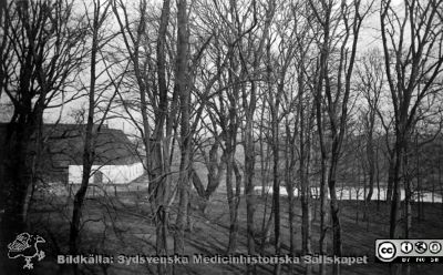 Helgonabacken i Lund med gård och märgelgrav
Från repronegativ i lasarettsfotografernas pärm "Gammalt A". Foto rimligen från 1890-talet eller 1900-talets första decennium, i samma serie som andra bilder med samma motiv, av Lina Jonn och hennes efterträdare Per Bagge. Graven kan vara den som fortfarande finns utanför UB i Lund.
Nyckelord: Universitet;Lund;Universitetssjukhus;Helgonabacken