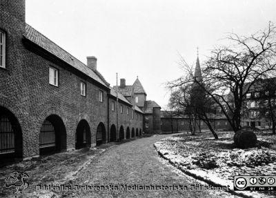 Ovanjordiska kulverten mellan södra och norra lasarettsområdet i Lund, c:a 1918
Den ovanjordiska sluttande kulvert som förband södra och norra lasarettsområdet, nybyggd 1918. Allhelgonakyrkan i bakgrunden. Från 35mm repronegativ lasarettsfotograferna i Lunds arkiv. Pärm "Gammalt A".
Nyckelord: Lund;Lasarett;Ovanjorisk;Kulvert;Förbindelsegång;Valvet