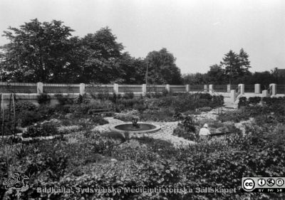 Troligast den lilla parken vid den västra delen av medicinska kliniken i Lund, på 1920-talet
Från 35 mm repronegativ i lasarettsfotograferna i Lunds arkiv. Pärm "Gammalt A".
Nyckelord: Lasarettet;Lund;Universitetssjukhus;Medicin;Klinik;Internmedicin;Trädgård;Park