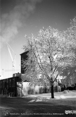 Vinterbild, Lasarettet i Lund, 1960-talets mitt
Pärm "Div. tagningar, 1960 och t.v."	Lasarettsexteriörer, mitten på 1960-talet. Ögonklinikens huvudentré i rimfrostväder, från sydväst. Byggkranar för E-Blocket i bakgrunden. Negativ
Nyckelord: Lasarettet;Lund;Universitetssjukhus;Universitet;gon;Oftalmologi;VintervÃ¤der