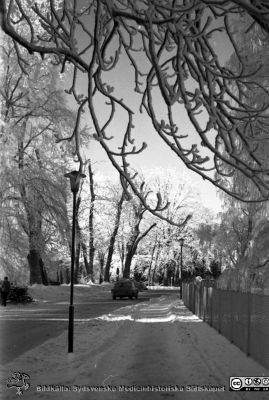 Vinterbild, Lasarettet i Lund, 1960-talet
Pärm "Div. tagningar, 1960 och t.v."	Lasarettsexteriörer, 1960-talet. Helgonavägen västerut emellan UB och reumatologiska kliniken. Negativ
Nyckelord: Lasarettet;Lund;Universitetssjukhus;Universitet;UB;Vinterväder;Rimfrostväder