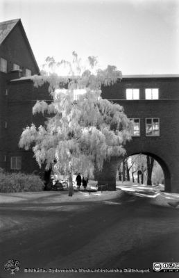 Vinterbild, Lasarettet i Lund, 1960-talet före omläggning till högertrafik 1967
Pärm "Div. tagningar, 1960 och t.v."	Lasarettsexteriörer, 1960-talet, före omläggningen till högertrafik 1967. Vy söderut vid valvet mellan dåvarande medicinkliniken och reumatologiska kliniken. Från negativ
Nyckelord: Lasarettet;Lund;Universitetssjukhus;Universitet;Medicin;Reumatologi;Valv;Vinterväder;Rimfrost