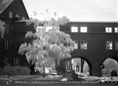 Vinterbild, Lasarettet i Lund, 1960-talet före omläggning till högertrafik 1967
Pärm "Div. tagningar, 1960 och t.v."	Lasarettsexteriörer, 1960-talet, före omläggningen till högertrafik 1967. Vy söderut vid valvet mellan dåvarande medicinkliniken och reumatologiska kliniken. Från negativ
Nyckelord: Lasarettet;Lund;Universitetssjukhus;Universitet;Medicin;Reumatologi;Valv