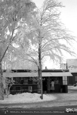 Vinterbild, Lasarettet i Lund, 1960-talet
Pärm "Div. tagningar, 1960 och t.v."	Lasarettsexteriörer, 1960-talet. Lasarettskiosken mellan ortopediska och reumatologiska klinikerna, österut. Från negativ
Nyckelord: Lasarettet;Lund;Universitetssjukhus;Universitet;Reumatologi;Valv;Kiosk;Ortopedi;Vinterväder;Rimfrost