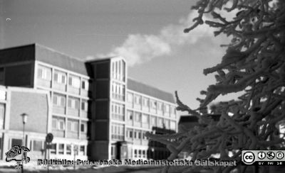Vinterbild, Lasarettet i Lund, 1960-talet
Pärm "Div. tagningar 1960 och t.v. Lasarettsexteriörer". Vinterbild. Administrations-blocket från sydväst Foto på 1960-talet före högertrafikens införande 1967. Från negativ.
Nyckelord: Lasarettet;Lund;Universitetssjukhus;Vinter;Rimfrost