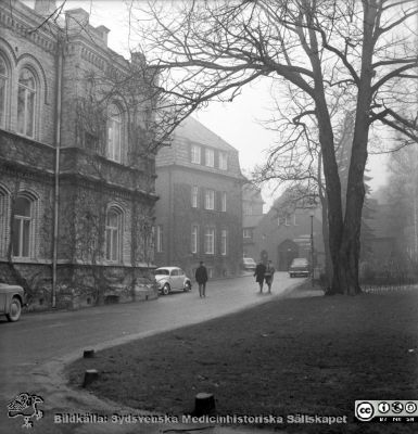 En dimmig dag utanför kirurgiska kliniken, norrut 
Pärm "Div. tagningar, 1960 och t.v.". Troligast 1960-talets slut. Omärkt bild. En dimmig dag utanför kirurgiska kliniken, norrut mot dåvarande röntgenkliniken och norra portvalvet med sjukhusledningen. Till höger Sandgatan. Från negativ
Nyckelord: Lund;Lund;Lasarettet;Universitet;Universitetssjukhus;Kirurgisk;Klinik