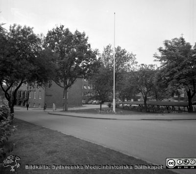 Lasarettet i Lund år 1967. Kvinnokliniken.
Lasarettsfotograferna i Lund. Pärm "Div. tagningar, 1960 och t.v.". År 1967. Kvinnokliniken från nordost, bakom parkens träd. Omärkt bild. Från negativ
Nyckelord: Lasarett;Lund;Universitet;Universitetssjukhus;USiL;KK;Kvinnoklinik;BB;Obstetrik;Gynekologi