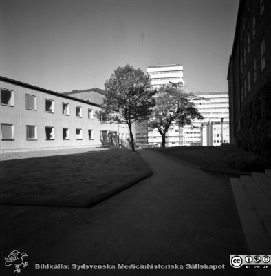 Lasarettet i Lund år 1967. Barnpsykiatriska kliniken.
Lasarettsfotograferna i Lund. Pärm "Div. tagningar, 1960 och t.v.". Foto år 1967. Omärkt bild. Barnpsykiatriska klinikens östra flygel till vänster. Vuxenpsykiatri i bildens högerkant. Från negativ
Nyckelord: Lasarett;Lund;Universitet;Universitetsklinik;USiL;Psykiatri;Barnpsykiatri