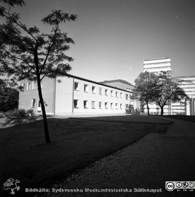 Lasarettet i Lund år 1967. Barnpsykiatriska kliniken
Lasarettsfotograferna i Lund. Pärm "Div. tagningar, 1960 och t.v.". Foto år 1967. Omärkt bild. Östra flygeln på dåvarane barnpsykiatriska kliniken. C-blocket i bakgrunden. Från negativ
Nyckelord: Lasarett;Lund;Universitet;Universitetsklinik;USiL;Psykiatri;Barnpsykiatri