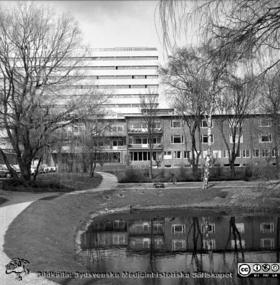 Lasarettet i Lund, bl. a. ögonkliniken, 1967
Pärm "Div. tagningar 1960 och t.v." Omärkt bild 1967. Lasarettet i Lund. Ögonklinikens fasad mot söder. Det ännu inte riktigt färdigbyggda centralblocket ses i bakgrunden. I förgrunden den gamla ankdammen. Reumatiska klinikens terapibassäng har ännu inte byggts. Från negativ.
Nyckelord: Lund;Lasarett;Universitet;Universitetssjukhus;Ögon;Oftalmologi;Oftalmiatrik;Klinik;Ankdamm;Märgelgrav;Reumatologi
