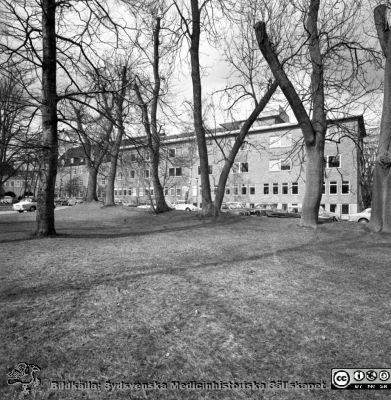 Östra delen av reumatologiska kliniken i Lund 1967
Pärm "Div. tagningar, 1960 och t.v.". Reumaten, 20/4-67. Fasad mot söder. Universitetsbibliotekets park i förgrunden (Helgonabacken). Badbassängen för rörelsebehandling är ännu inte byggd. Från negativ.
Nyckelord: Lund;Lasarett;Universitet;Universitetssjukhus;USiL;Rheuma;Reumatologisk;Klinik