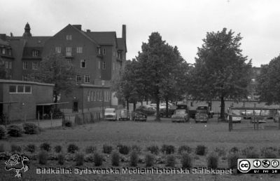 Resterna av folkskoleseminariets trädgårdsmästeri (senare sjukhusets) strax norr om dåvarande ortopediska kliniken. 
Pärm "Div. tagningar 1960 och t.v.". Till vänster ögonklinikens dåvarande poliklinik och bortom den dåvarande ortopediska kliniken med röntgn II i envåningsdelen. Radiologiska kliniken skymtar i bakgrunden mellan träden. Vy västerut. Här skall snart centralblocket byggas. Foto 1961. Film no. 27. Från negativ.
Nyckelord: Lund;Lasarett;Universitetssjukhus;Universitet;Centralblocket;USiL;Trädgårdsmästeri;Park;Parkering;Ögon;Oftalmologi;Röntgen;Rtg;Ortopedi