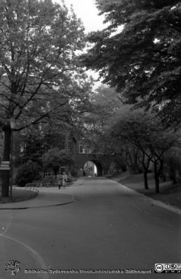 Lasarettet i Lund. Sandgatans förlängning norrut, nu Lasarettsgatan. I bakgrunden valvet mellan medicinska och reumatologiska klinikerna.
Pärm "Div. tagningar 1960 och t.v.". Foto 1961. Foto mot norr. Gamla medicinska kliniken till vänster. Valvet som förbinder reumatologiska och de medicinska klinikerna i fonden. Kanske är det rimfrost på träden? Eller är de alldles nyutslagna? Film no.27. Från negativ.
Nyckelord: Lund;Lasarett;Universitetssjukhus;Universitet;USiL;Medicin;Klinik;Reumatologi