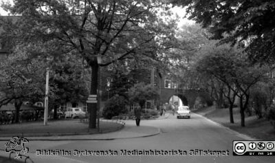 Lasarettet i Lund 1961. Gamla medicinska kliniken till vänster. Valvet som förbinder reumatologiska och de medicinska klinikerna i fonden. 
Pärm "Div. tagningar 1960 och t.v.". Foto 1961. Foto mot norr. Kanske är det rimfrost på träden? Eller är de alldeles nyutslagna? Film no.27. Från negativ.
Nyckelord: Lund;Lasarett;Universitetssjukhus;Universitet;USiL;Medicin;Klinik;Reumatologi