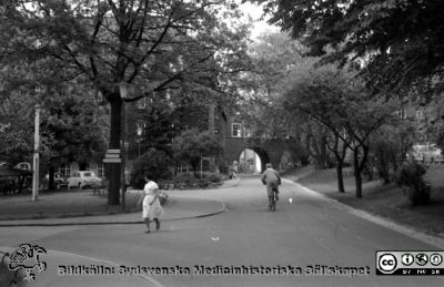 Lasarettet i Lund 1961. Dåvarande Sandgatans förlängning norrut (nu Lasarettsgatan). Gamla medicinska kliniken till vänster. Valvet som förbinder reumatologiska och de medicinska klinikerna i fonden. 
Pärm "Div. tagningar 1960 och t.v.". Foto 1961. Foto mot norr. Kanske är det rimfrost på träden? Eller är de alldeles nyutslagna? Film no.27. Från negativ.
Nyckelord: Lund;Universitetssjukhus;Lasarett;Universitet;USiL;Medicin;Klinik;Reumatologi