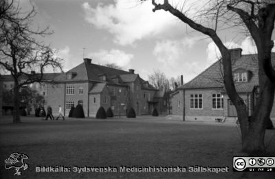 Lasarettet i Lund 1961. Infektionsklinikens byggnader.
Pärm "USiL div. tagningar. 1960 och t.v.". Omärkt bild. Infektionsklinikens byggnader från 1927. Foto 1961. Från negativ
Nyckelord: Lund;Lasarett;Universitetssjukhus;Universitet;Infektion;Epidemi;Klinik;Sjukhus