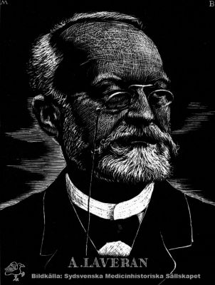 Charles Louis Alphonse Laveran, 1845 - 1922
Belönad 1907 med Nobelpriset i fysiologi eller medicin "såsom ett erkännande åt hans arbeten rörande protozoers betydelse som sjukdomsalstrare". Reprotryck. Monterat
Nyckelord: Nobelpris;Nobelpristagare;Fysiologi;Medicin;Protozoer;Kapsel 12