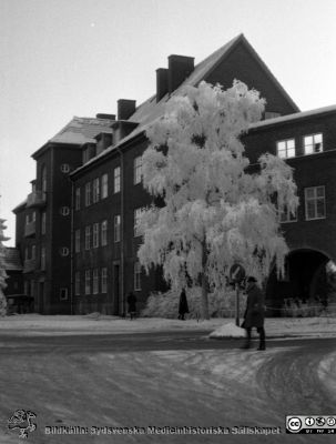 Vy österut mot treumatologiska klinikens norrfasad och valvet till medicinska kliniken en rimfrostdag
Lasarettsfotograferna. Lund. Pärm "Div. tagningar, 1960 och t.v.". Lasarettets exteriörer. Foto 1961. Från negativ
Nyckelord: Lasarett;Lund;Universitet;Universitetssjukhus;USiL;Reumatologi;Valv;Rimfrost;Vinter
