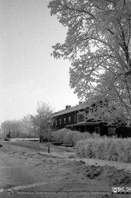 Tandvårdskliniken en rimfrostdag på 1960-talet
Lasarettsfotograferna. Lund. Pärm "Div. tagningar, 1960 och t.v.". Lasarettets exteriörer. Foto 1961. Från negativ.
Nyckelord: Lasarett;Lund;Universitet;Universitetssjukhus;USiL;Odontologi;Tandvård;Rimfrost;Vinter