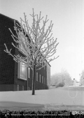 Lasarettet i Lund. Vy en rimfrostförmiddag mot öster vid söderfasaden på tandvårdskliniken
Lasarettsfotograferna. Lund. Pärm "Div. tagningar, 1960 och t.v.".  Foto 1961. Från negativ
Nyckelord: Lasarett;Lund;Universitet;Universitetssjukhus;USiL;Rimfrost;Vinter;Tandvård;Odontologi;
