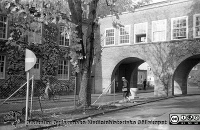 Höstlig vy 1961, norrut mot valvet mellan medicinska (till vänster) och reumatologiska (till höger) klinikerna. 
Lasarettsfotograferna. Lund. Pärm "Div. tagningar, 1960 och t.v.". Lasarettets exteriörer, 1960-talet. Vildvinet på valvet är avlövat och det ligger löv på marken närmast kameran. Foto 1961. Från negativ
Nyckelord: Lasarett;Lund;Universitet;Universitetssjukhus;USiL;Medicin;Reumatologi;Klinik;Höst