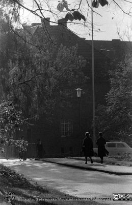 Höstlig vy vid dåvarande medicinska klinikens östra gavel, mot sydväst. 
Lasarettsfotograferna. Lund. Pärm "Div. tagningar, 1960 och t.v.". Lasarettets exteriörer, 1960-talet. Dåvarande kvinnokliniken i fonden. Foto 1961. Från negativ
Nyckelord: Lasarett;Lund;Universitet;Universitetssjukhus;USiL;Medicin;Kvinnoklinik;Klinik;Höst