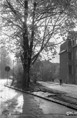 Höstlig bild mot söder från valvet mellan medicinska och reumatologiskaklinikerna
Lasarettsfotograferna. Lund. Pärm "Div. tagningar, 1960 och t.v.". Lasarettets exteriörer, 1960-talet. Till höger den östra gaveln på dåvarande medicinska kliniken, och längre bort dåvarande kvinnokliniken. Foto 1961. Från negativ
Nyckelord: Lasarett;Lund;Universitet;Universitetssjukhus;USiL;Medicinsk;Klinik;Valv;Cyklist