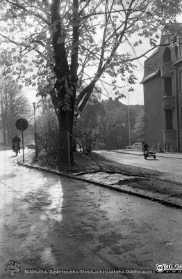 Höstlig bild mot söder från valvet mellan medicinska och reumatologiska klinikerna. 
Lasarettsfotograferna. Lund. Pärm "Div. tagningar, 1960 och t.v.". Lasarettets exteriörer, 1960-talet. Till höger den östra gaveln på dåvarande medicinska kliniken, och längre bort dåvarande kvinnokliniken. Foto 1961. Från negativ
Nyckelord: Lasarett;Lund;Universitet;Universitetssjukhus;USiL;Medicinsk;Klinik;Valv;Kvinnoklinik;KK;Moped;Flakmoped